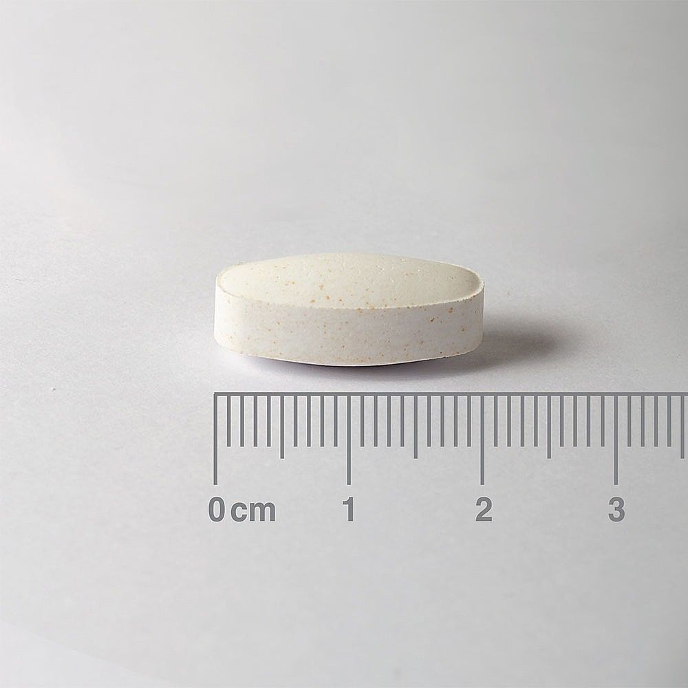 Lamberts Bio-Iron Complex (Vitamin B12 and L-Lysine) 120 Tablets #8244