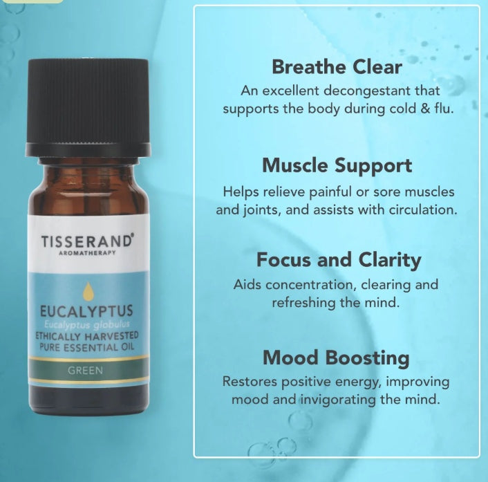 Eucalyptus Ethically Harvested Essential Oil 20ml