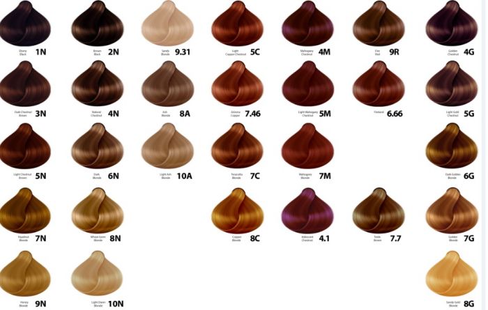 Naturtint Permanent Hair Colourant 5G - Light Golden Chestnut - £7.99 when you bulk buy!