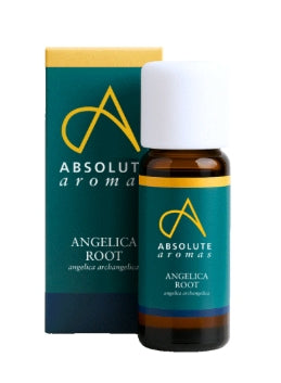 Absolute Aromas Angelica Root Essential Oil 2ml