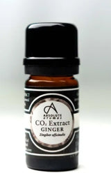 Absolute Aromas Ginger CO2 Extract 5ml