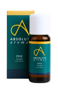 Absolute Aromas Pine Essential Oil (Scotch)