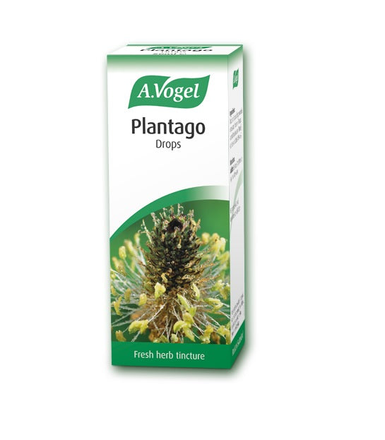 A Vogel Plantago 50ml
