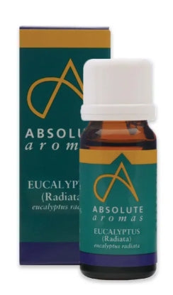 Absolute Aromas Eucalyptus Radiata Essential Oil 100ml