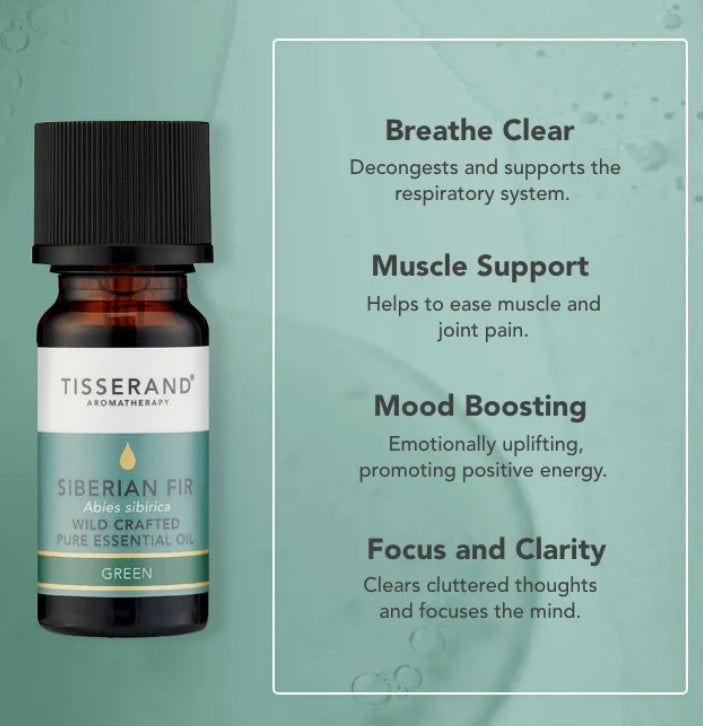 Tisserand Siberian Fir Essential Oil 9ml