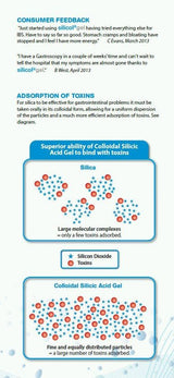 Saguna Silicol Gel Colloidal Silicic Acid For Gastrointestinal Disorders 200ml (12 Pack)